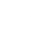 920D Custom logo